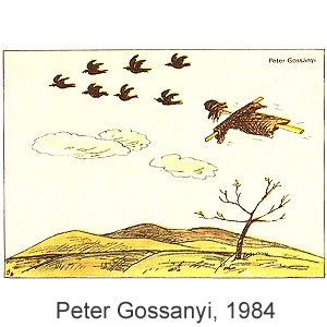 Peter Gossanui, Rohac(Bratislava), # 49, 1984