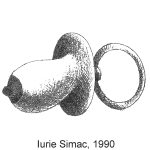 Iurie Simak, Chiparusul(),  17, 1990