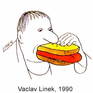 Vaclav Linek, Dikobraz(Praha),  5, 30.01.1990