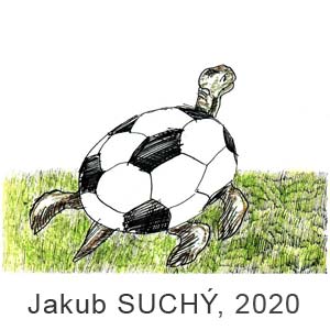 Jakub Suchy, Boomerang(Slovakia), # 7, 2020