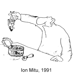 Ion Mitu, Chiparusul(Кишинев), № 20, 1991